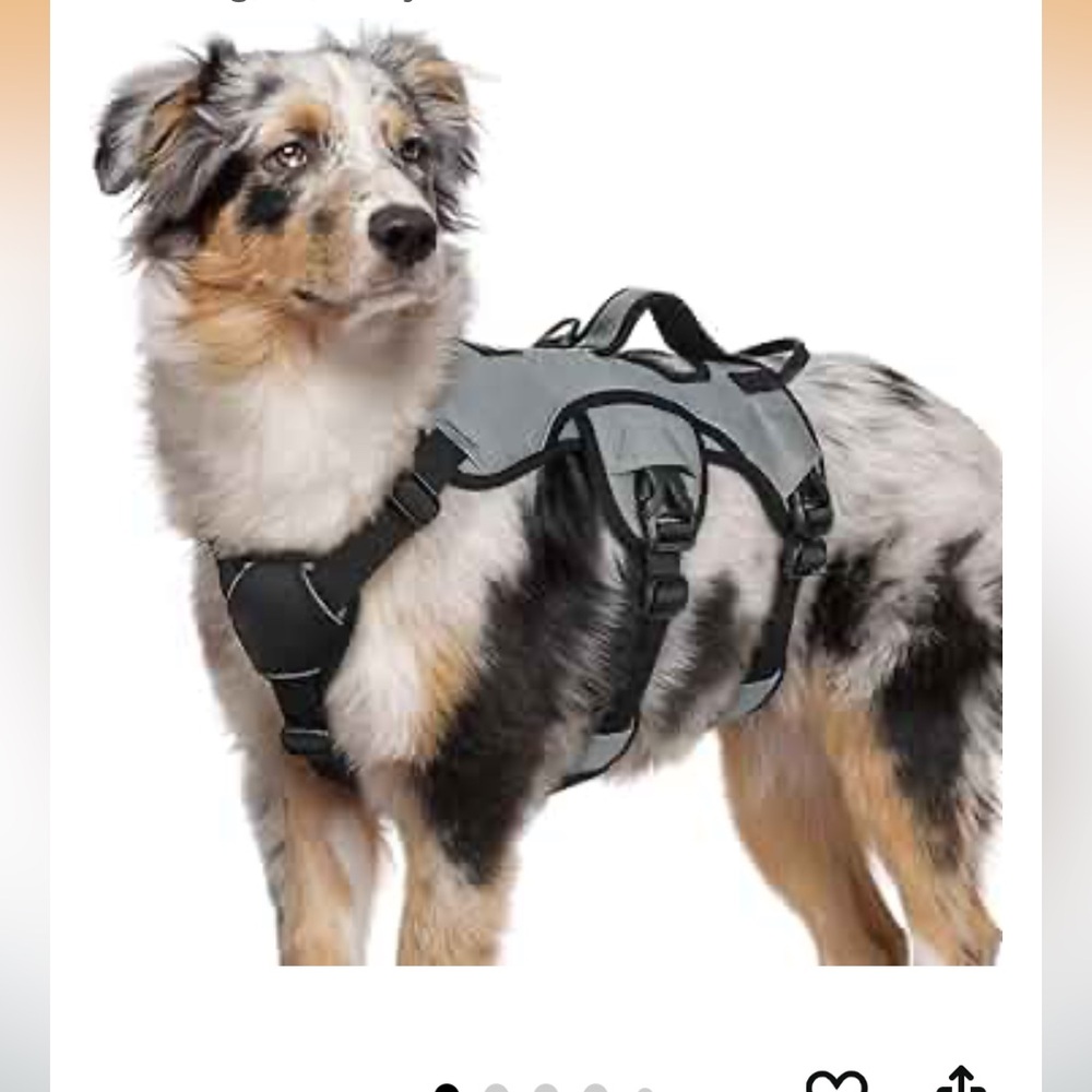 NWOT Rabbitgoo Escape Proof Dog Harness Size M